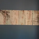 Casa Che Montana * بييسكاس
