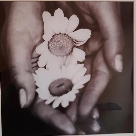 Casa Che Playa & Montana