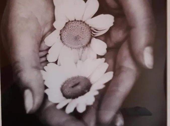 Casa Che Playa & Montana